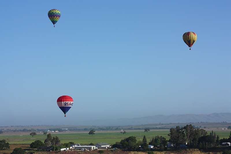 hot air balloons flying over Paso Robles, California
