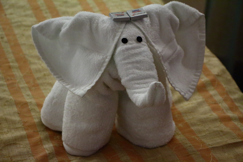 elephant towel animal on Carnival Cruise lines