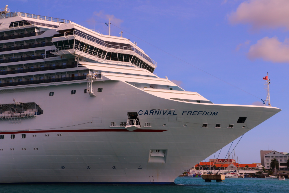 Carnival Freedom bow