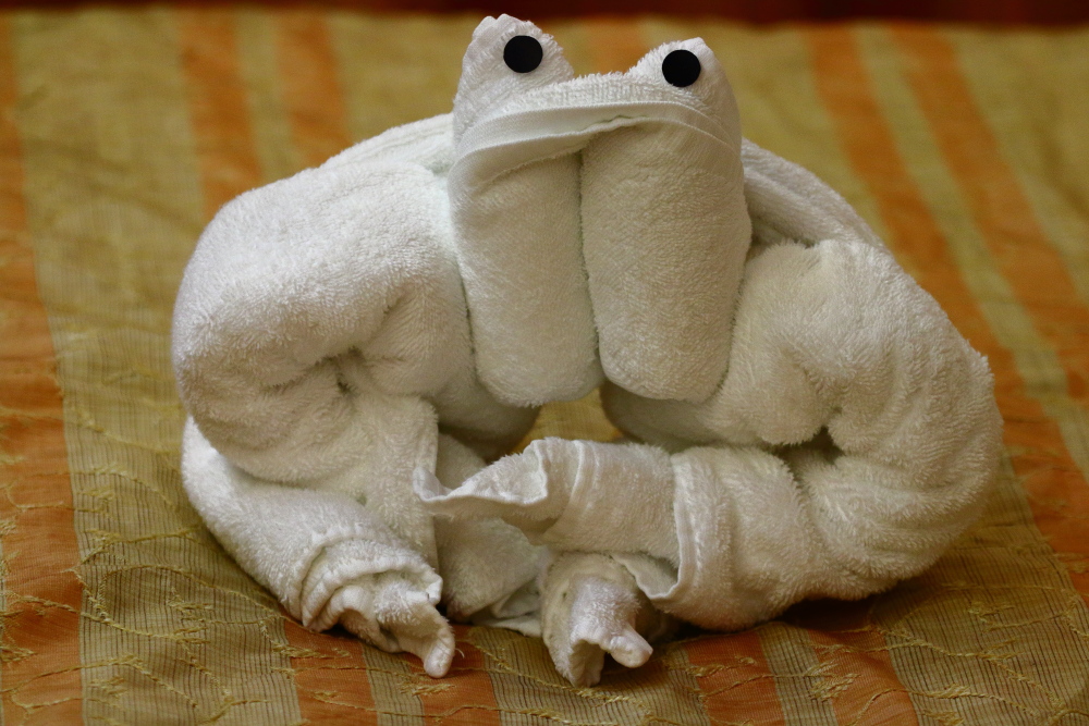 Carnival cruise frog towel animal