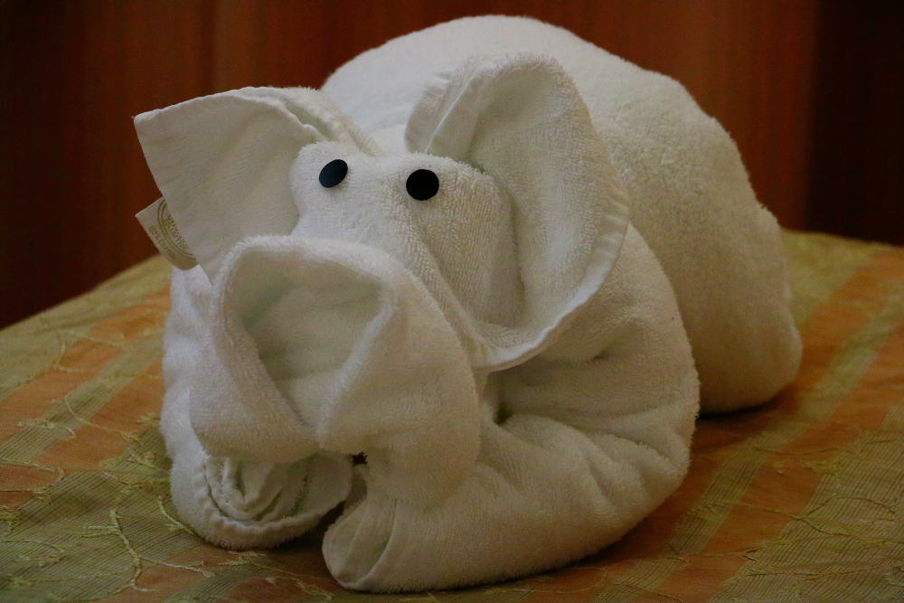 Carnival cruise towel animal