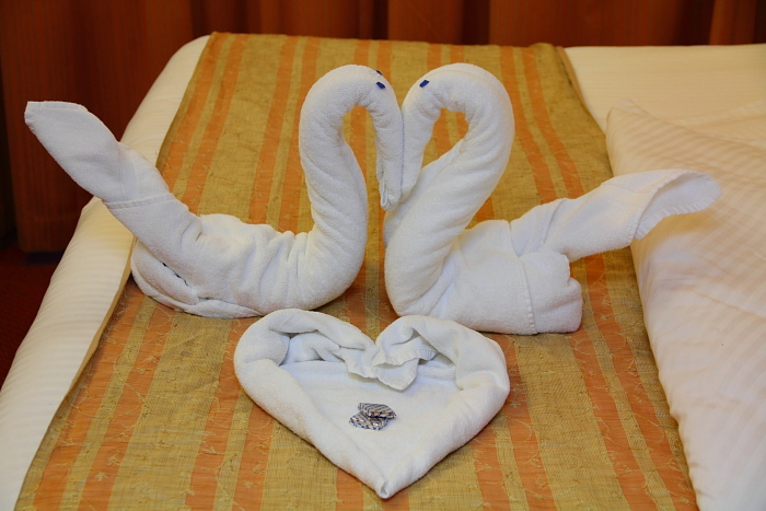 Carnival swan towel animal