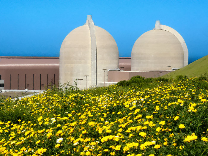 Wildflowers at Diablo Canyon power plant