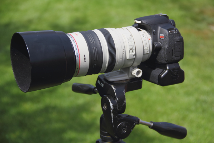 Canon T5i with 100-400mm L series lens