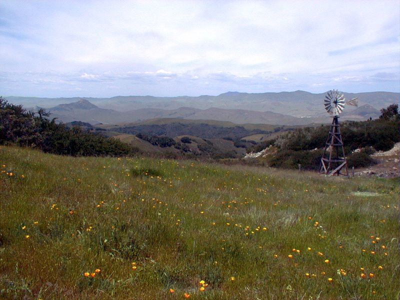 In the hills just west of San Luis Obispo, California